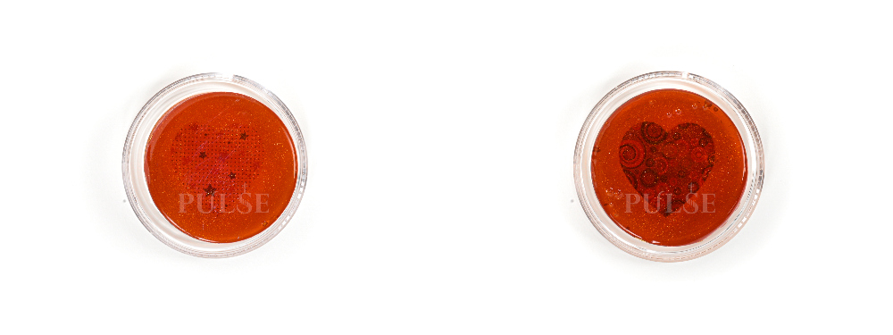 악세사리 오렌지 색상 이미지-S1L6